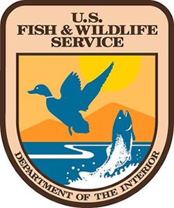 fish and wildlife service